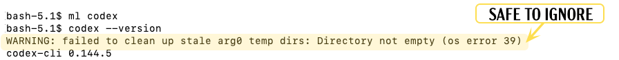 Screenshot showing a Codex error that can be ignored