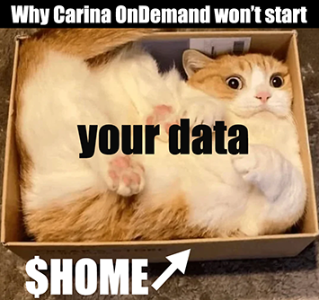 A cat who is too big for the box it is in demonstrates the danger of a full $HOME