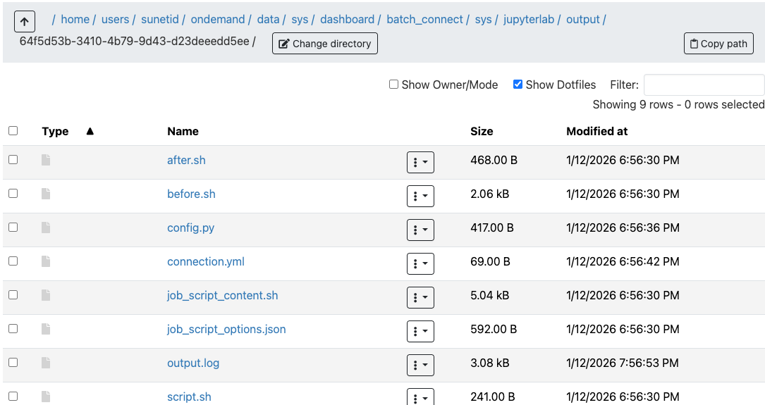 Files from Open OnDemand Session for JupyterLab