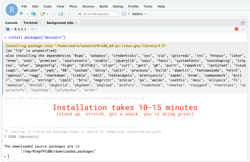 RStudio session on Carina