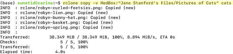 A terminal window's output, showing the results of the steps in the text