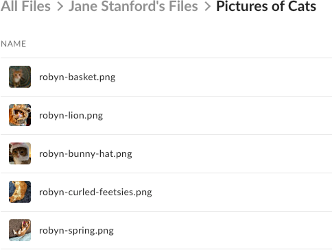 Shows a listing of files on Box. They are all pics of a cat named Robyn, who is orange and very silly