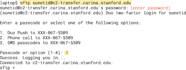 terminal sftp connection