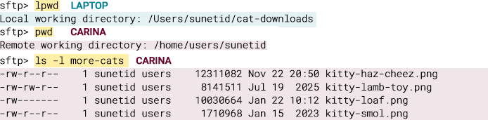 terminal file listing