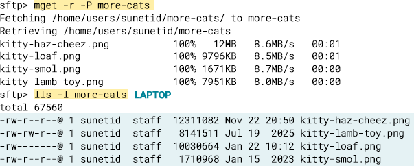 terminal file listing